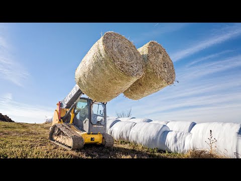 Hauling Corn Fodder - JCB Teleskid 3TS-8T