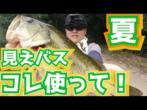 【初心者必見】見えバスはすぐ釣れるぞ！フリックシェイク！