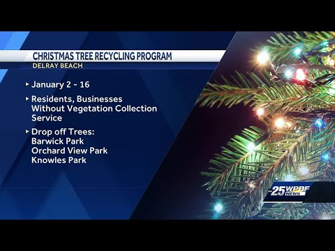 Delray Beach offers free Christmas tree recycling program