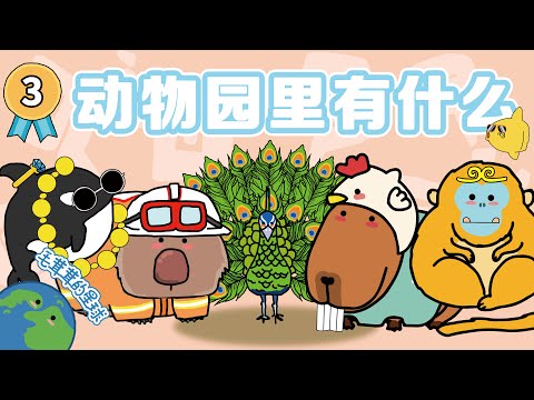 超长合集3：动物园里有什么？【毛茸茸的世界】