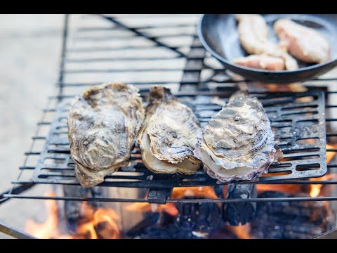 Noyak Family Oyster Festival 2024