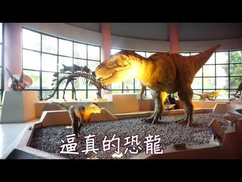 20170411 新竹縣關西鎮東光國小 台中科博館校外教學