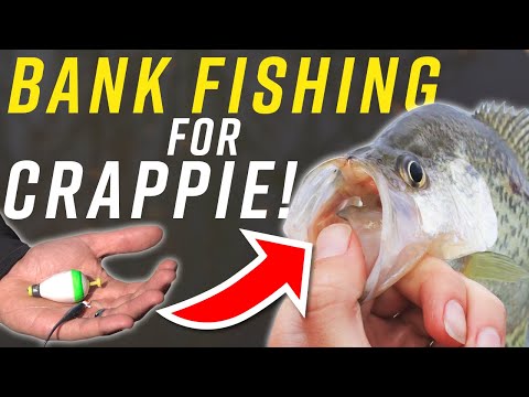 Bank Fishing for Crappie: Wintertime Tactics and Catching Secrets!