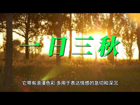 中国語 中国 成语 一日三秋