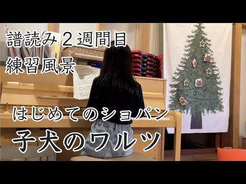 ピアノ練習風景♫子犬のワルツ♫はじめてのショパン