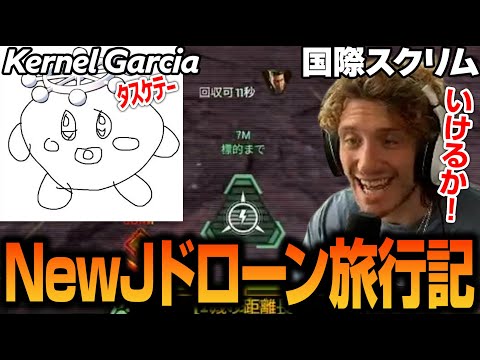 家長ドローンを応援するNiceWigg【Apex翻訳/世界スクリム/NewJ】