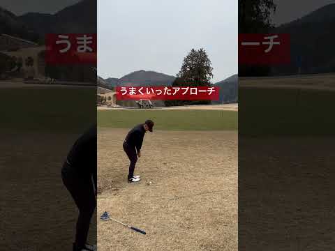 【自分で言うな】激うまアプローチ⛳️#youtube #shorts #ゴルフ #ゴルフ初心者 #ラウンド動画 #ゴルフ動画 #アプローチ #打ち方 #ゴルフ練習 #ナイスショット #ゴルフレッスン