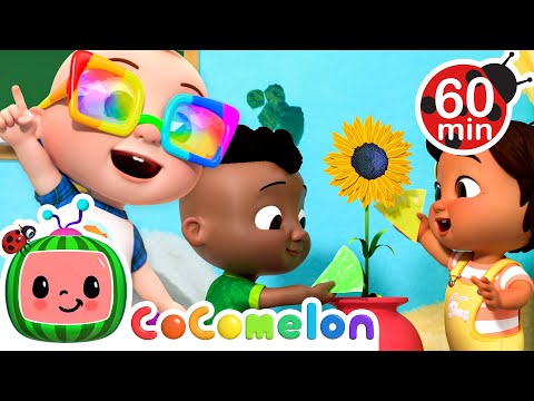 Learn the Colors in a Kaleidoscope 🌈🎨| CoComelon Kids Songs & Nursery Rhymes