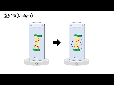 【タンパク質精製】透析法 (Dialysis)とは？