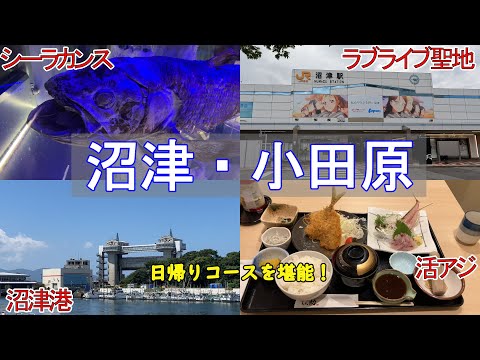 【沼津・日帰り】沼津港・シーラカンス・大瀬崎・あじ屋伝助