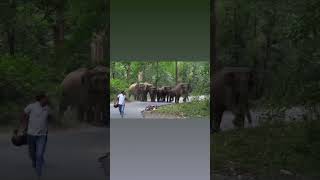 Jim Corbett National Park Uttarakhand Ramnagar india