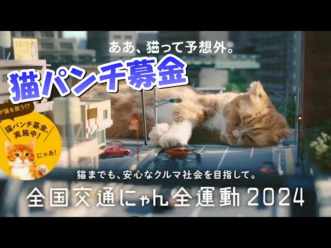 猫パンチ募金　イエローハット2024年猫の日イベント　「動物保護団体寄付」