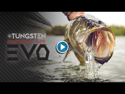 Tungsten EVO In Depth