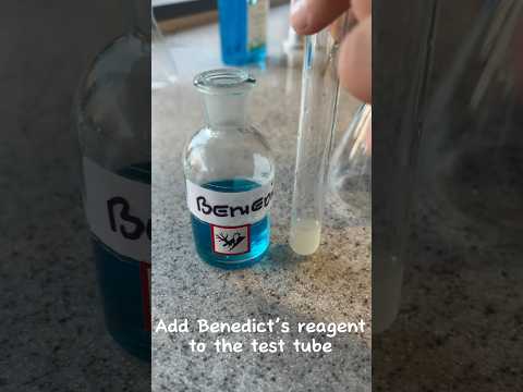 Food Tests Benedict’s Test (Sugar) #foodtests #benedicts #science #sugar #teacher #biology #lab