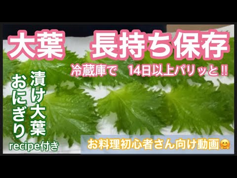 たくさん買っても大丈夫！「かしこい大葉の保存方法」お弁当の仕切り、おにぎり、色々使えて便利♪スープジャー弁当のお供にも♡