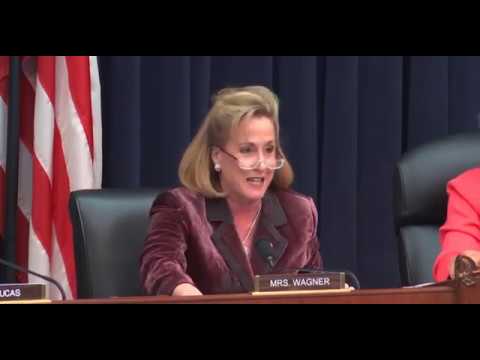 Wagner Speaks at Diversity and Inclusion Subcommittee Hearing February 27th, 2019