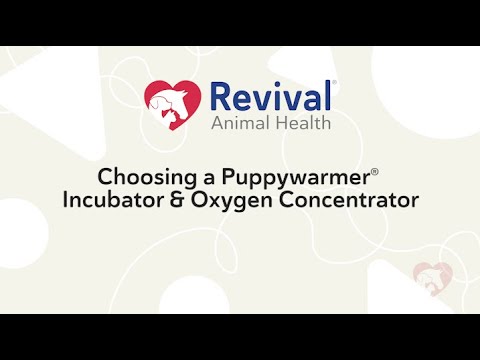 Choosing a Puppywarmer Incubator and Oxygen Concentrator