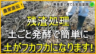 【残渣で土作り】捨てるのはもったいない！残渣の有効活用法【有機農家直伝！無農薬で育てる家庭菜園】　24/12/3