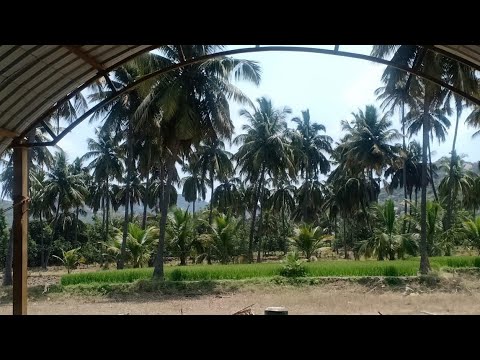 Village life In Krishnagiri Tamil nadu India.