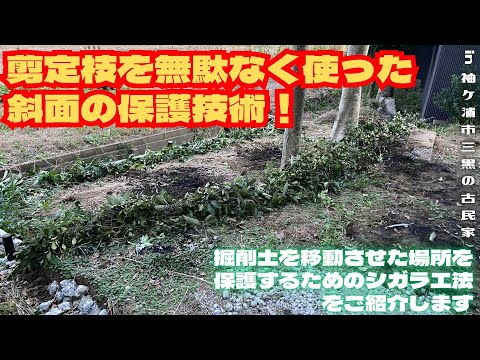 剪定枝を無駄なく使った斜面の保護技術！【里山再生・土壌改善・開拓型農業アクティビティ里山体験受付中】