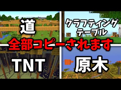 【マイクラ】ブロックを置くと全チャンクにコピーされるマインクラフト