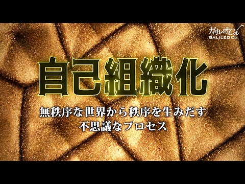 自己組織化 無秩序な世界から秩序を生みだす不思議なプロセス