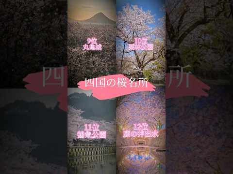 四国の桜名所16選#四国 #桜 #絶景 #おすすめ #愛媛県 #高知県 #ランキング #香川県#徳島県#shorts