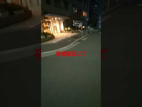 滝沢動画1640.夜城東区にて