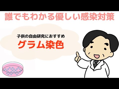 【グラム染色】大枠の細菌がわかる‼︎〜誰でもわかる優しい感染対策〜