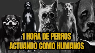 ¡Miedo Real! Cuando los Perros se Comportan como Humanos y Otros Animales Siniestros