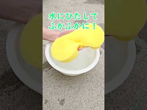 泡いっぱい！ワンコインで買える神スポンジ