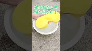 泡いっぱい！ワンコインで買える神スポンジ