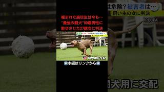 ⬆️本編はリンクから⬆️80歳男性に“最強の闘犬”ピットブル散歩させる…高校生が噛まれた事件で飼い主に有罪判決 被害者「飼育の制限を」