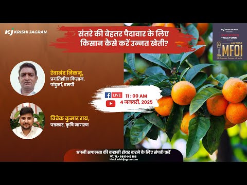 Orange Farming:  संतरे की बेहतर पैदावार के लिए किसान कैसे करें उन्नत खेती?