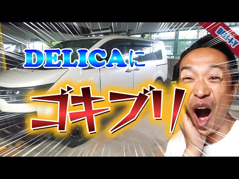 【デリカD5】DELICAにゴキブリが出た！！！やばい～！