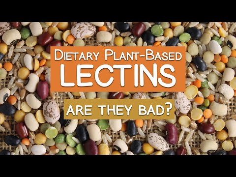 Dietary Plant-Based Lectins Explained | Are They Bad?