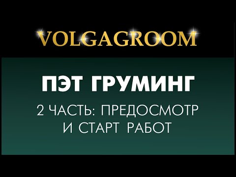 VOLGAGROOM 16.02: Объявление финалистов, предосмотр 2 части