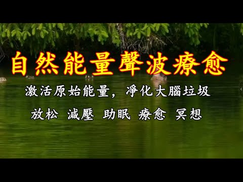 五音療疾丨聽著流水和鳥鳴，就像身處與大自然之中，無比的放鬆與愜意！