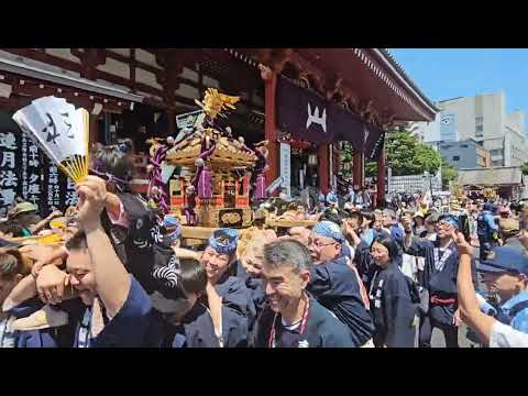 浅草　三社祭　Sanja Festival Asakusa Tokyo 　