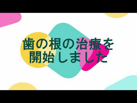 歯の根の治療を開始しました