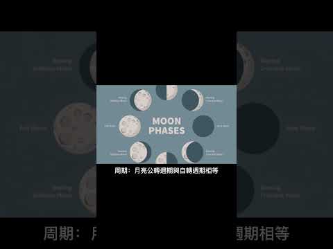 #月球 #月亮 #Moon #luna #宇宙  #太陽系 #Solarsystem #universe #shorts