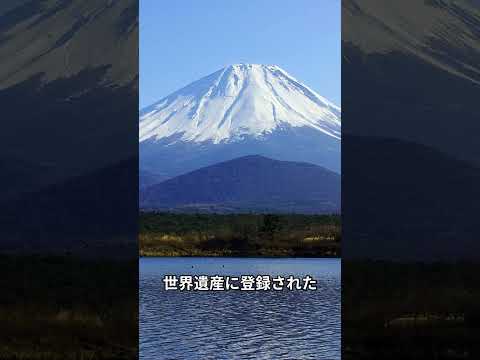 【旅行】静岡市 1日観光プラン！（静岡県） #富士山 #駿河湾 #日本平 #久能山東照宮 #徳川家康 #静岡おでん #三保松原  #サウナしきじ #サウナ #酒井健太 #チョコナナ #地酒