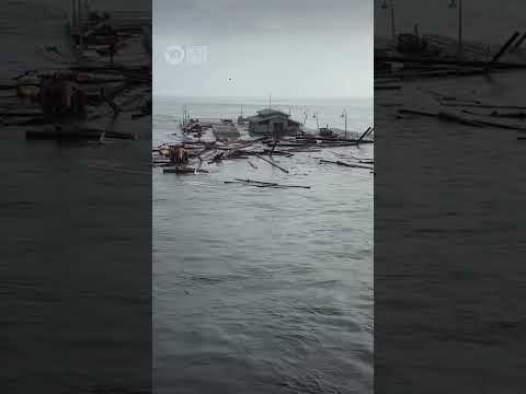 Three People Fall In Ocean After Santa Cruz Wharf Collapses | 10 News First