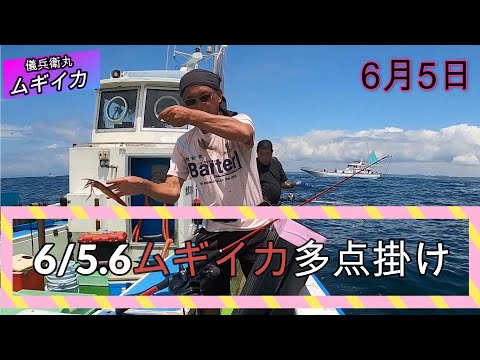 ムギイカ多点掛け6月5 .6日儀兵衛丸