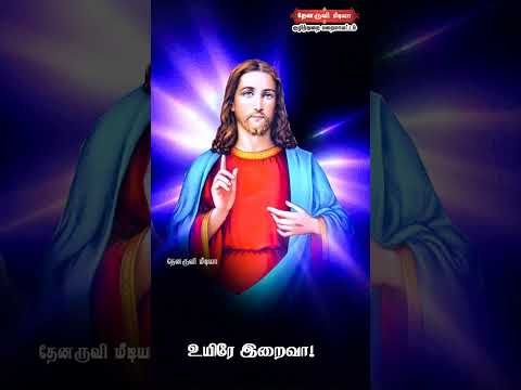 Tamil Catholic Status song-Tamil Catholic Status song (நிரந்தரம் நீயல்லவா ) - 08.11.2024)