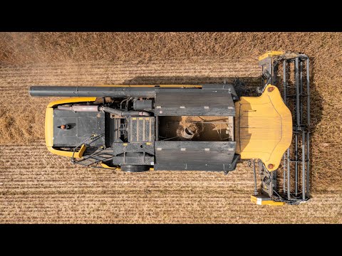 Barley Threshing 2021 | New Holland CX760 & Laverda 255 LCS