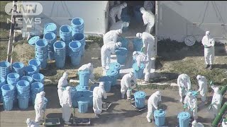 北海道の養鶏場で鳥インフル　今季初確認「最も早い発生」(2024年10月17日)