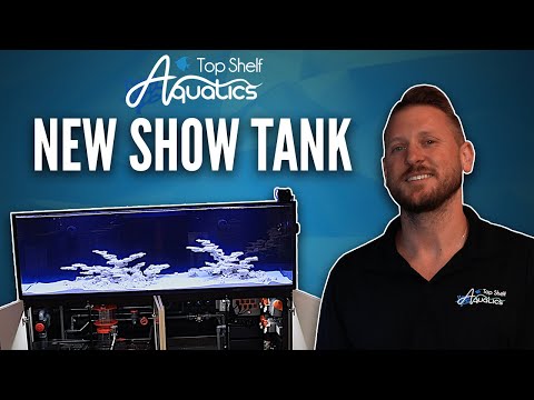 How to set up a tank the Top Shelf way!