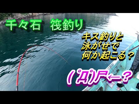 千々石　筏釣り　キス釣りと泳がせでとんでもないハプニングが！？