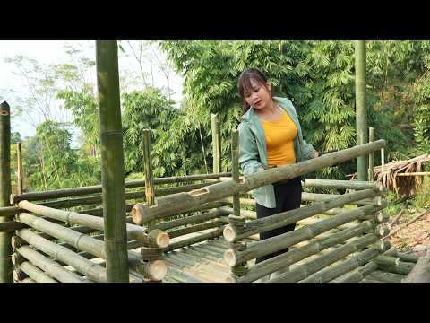 How I used bamboo to make a cage for the wild boar I rescued